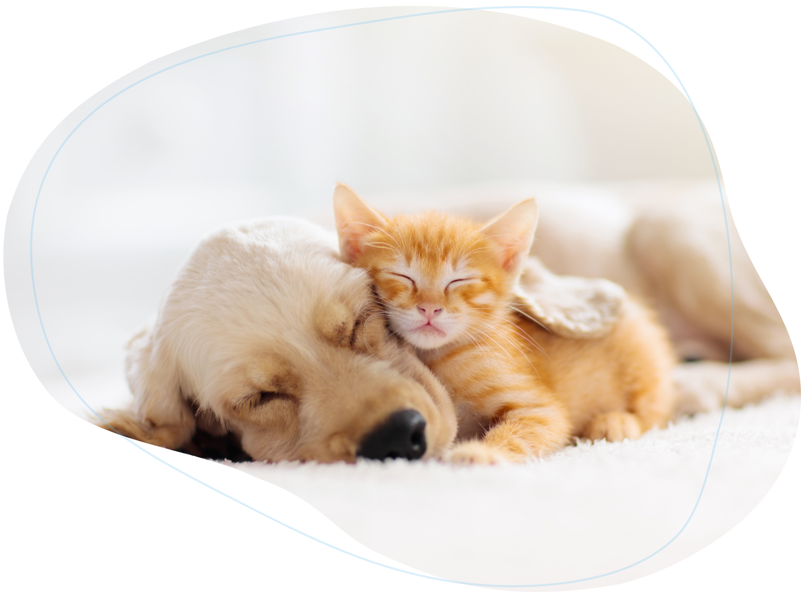 東村山どうぶつ病院